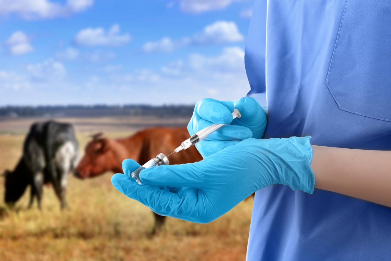 EFSA: Levels of veterinary drug residues in food 'remain low'