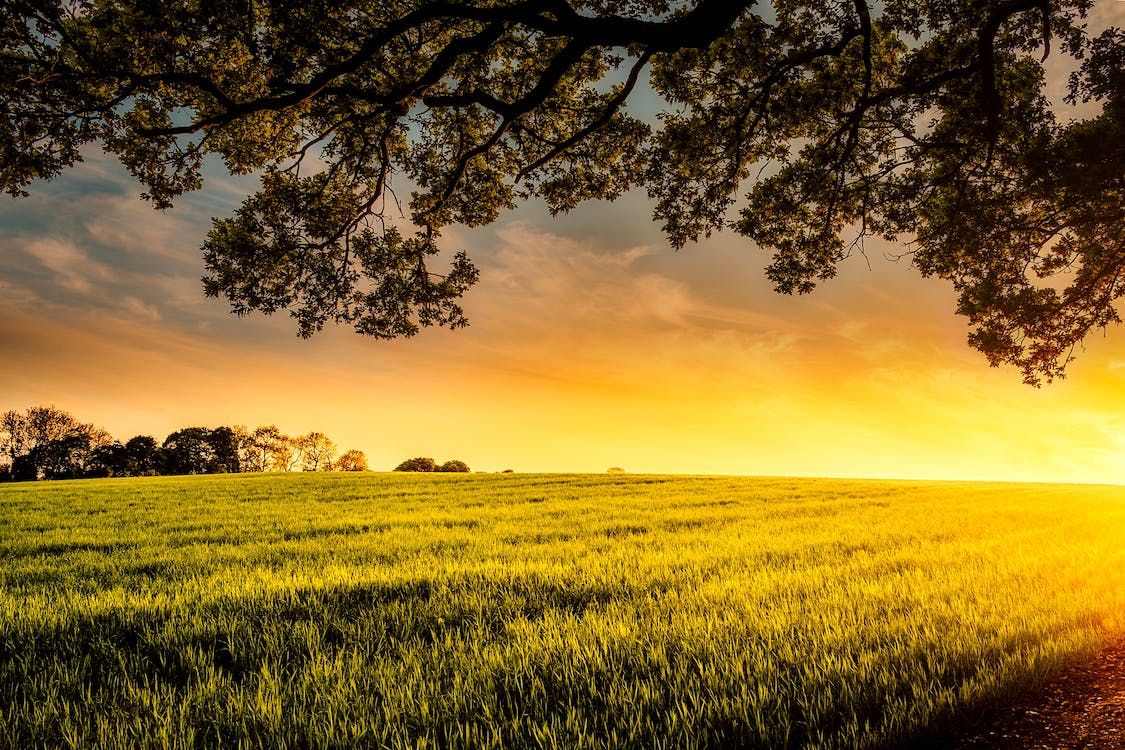 Future of $150bn NZ farm assets depends on succession - report