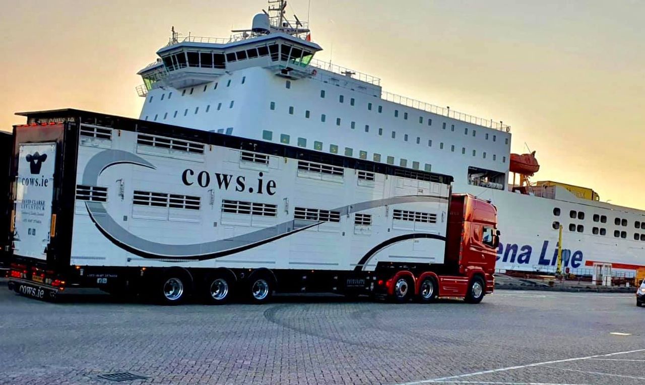 Cattle exporter highlights challenges facing hauliers to a post-Brexit UK
