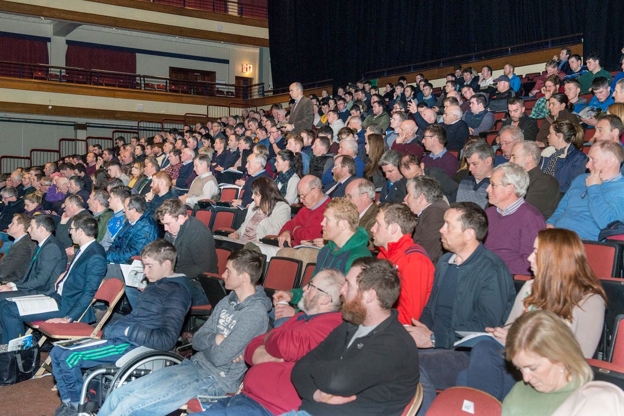 Dairy farmers urged to 'rebuild relationship' with beef farmers