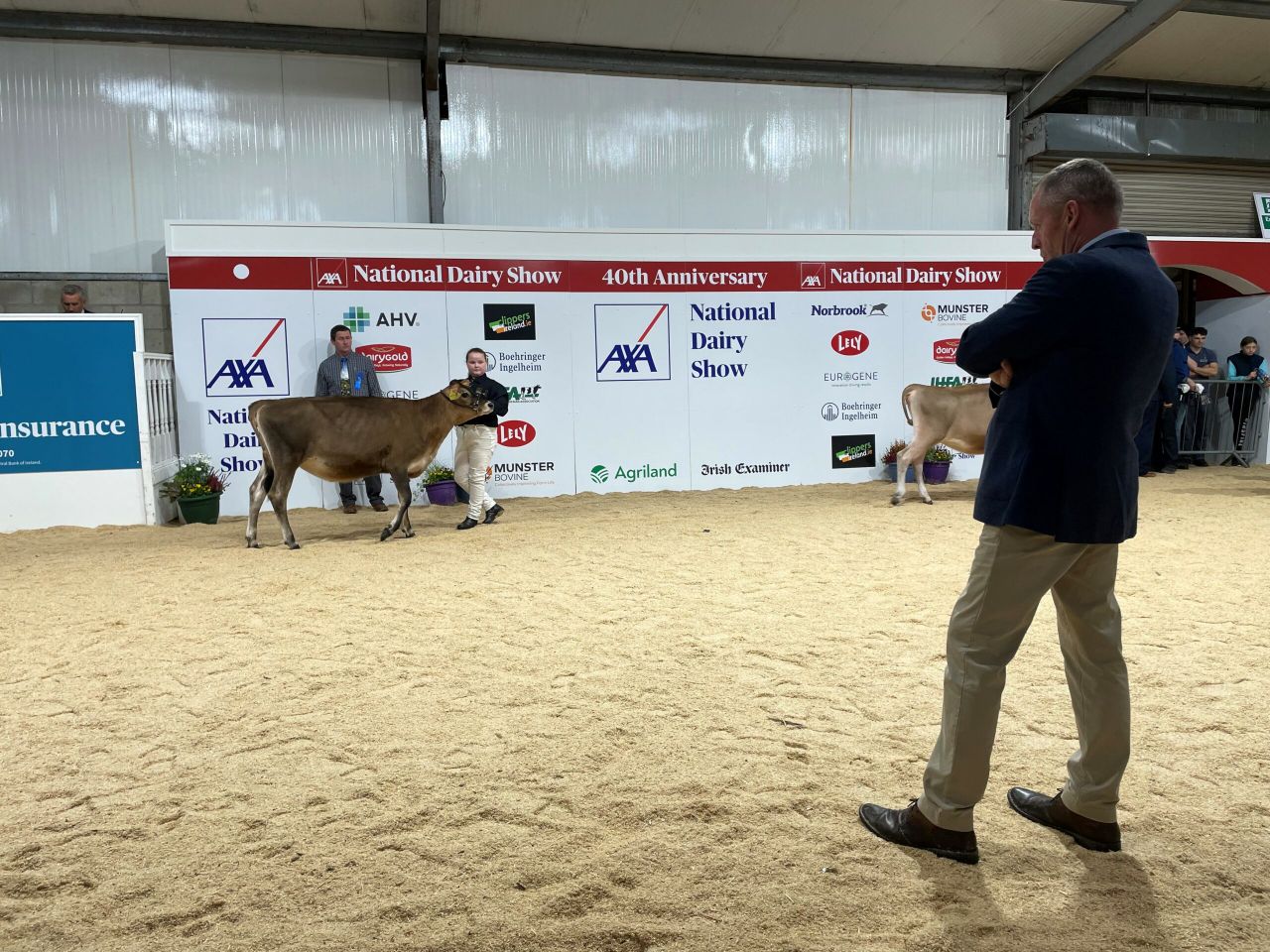 National Dairy Show: Results from day one