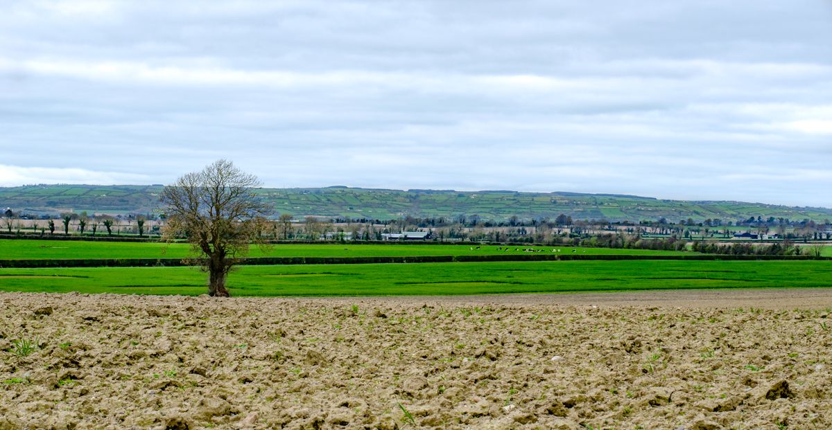 Weather: Weekend to see return to duller conditions