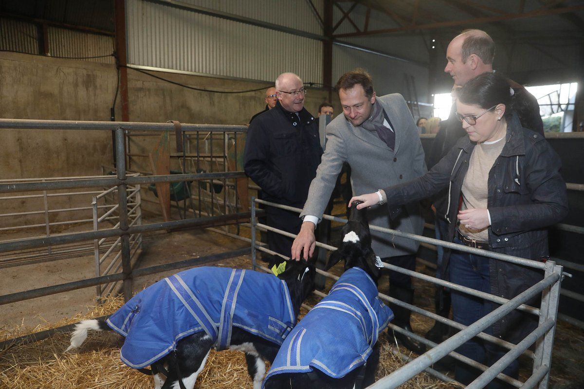 Watch: ‘Boots on the ground’ in Kildare with Commissioner Hansen