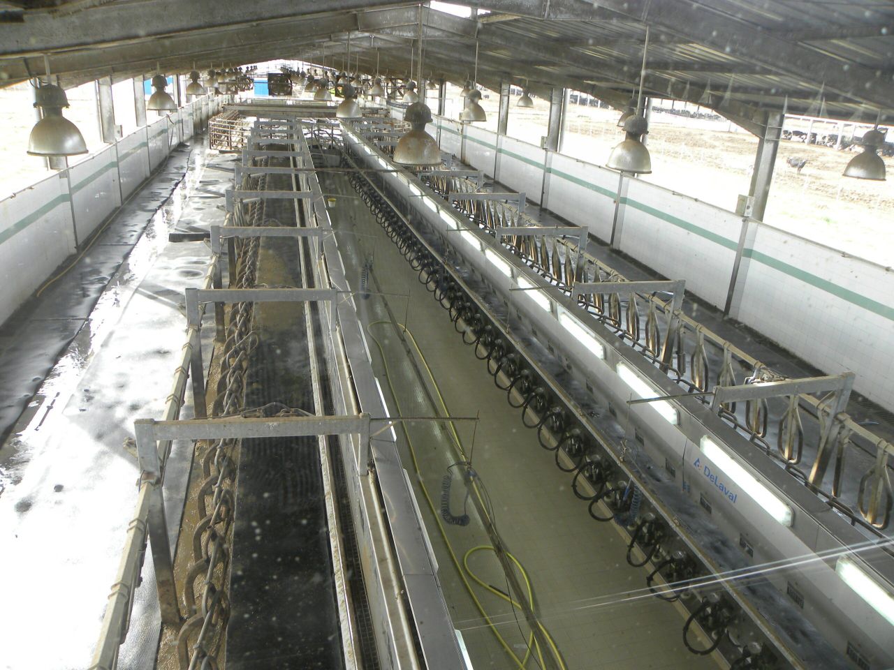 Dairy wholesale prices rise 20% annually; fruit and veg costs decline