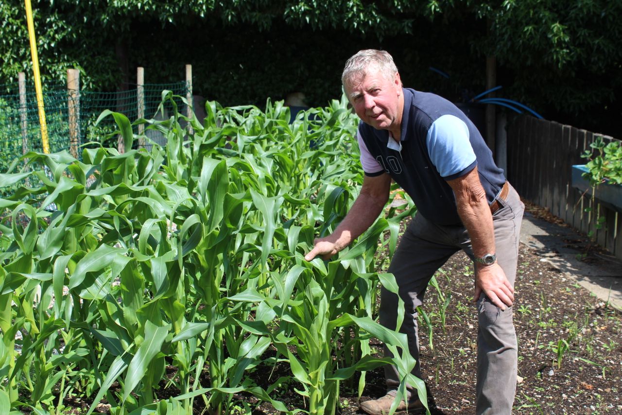 Donaghmore Horticultural Community hoping to expand