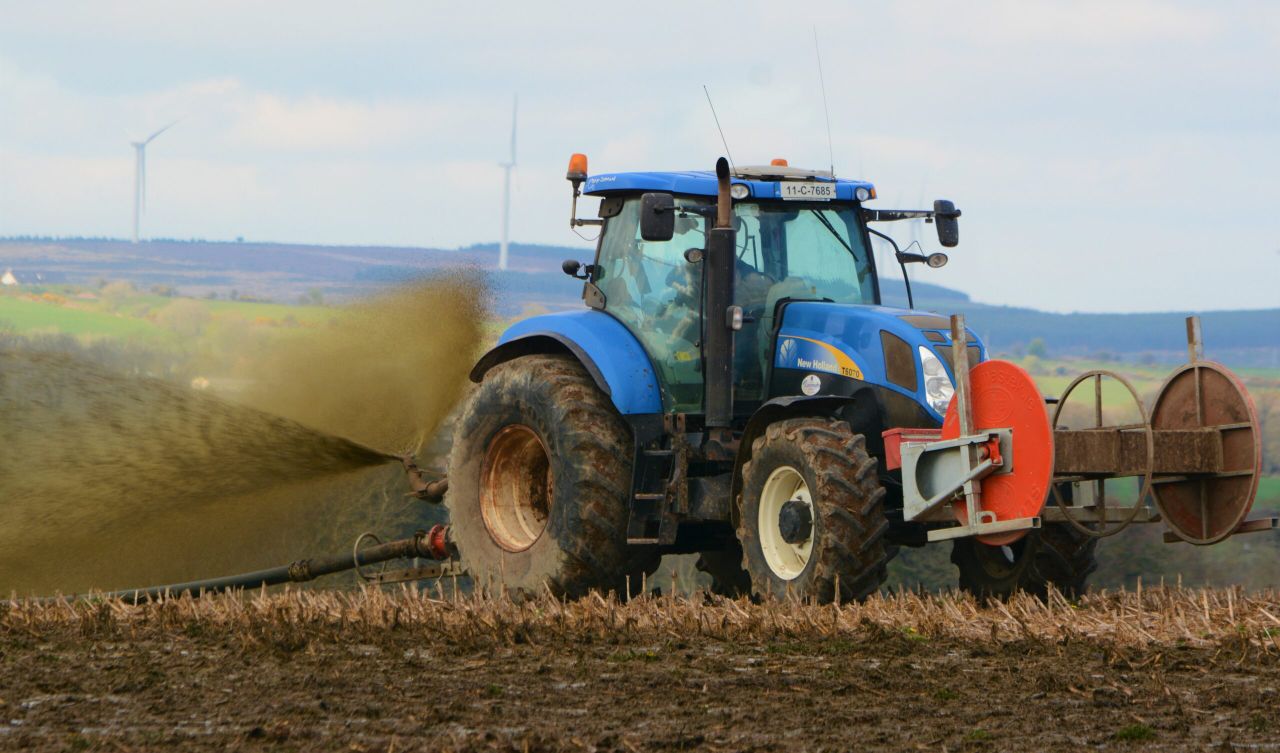 New report lays bare extent of NI agriculture's phosphorus excess