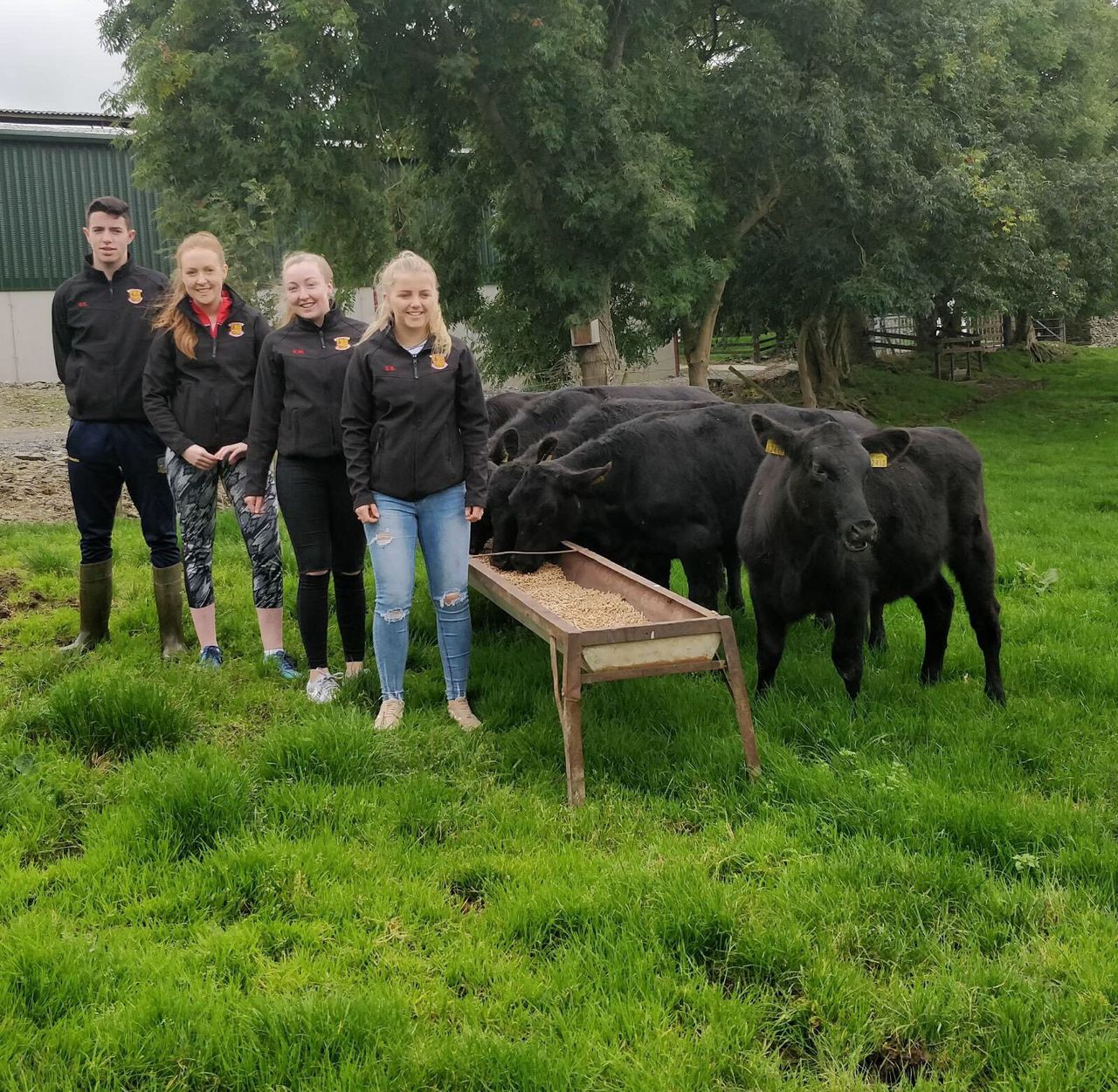 Gate to plate: 'Royal' students showcase perks of Angus breed