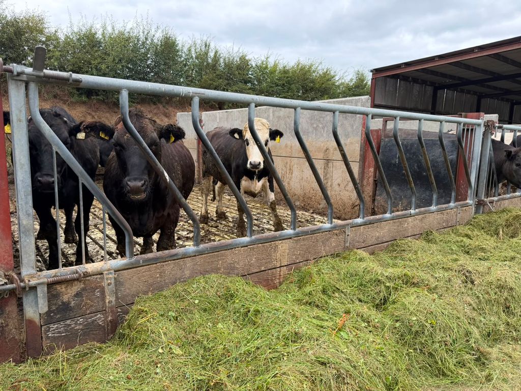 Store cattle are fed zero-grazed grass and no chemical Nitrogen (N) fertiliser is used on the farm