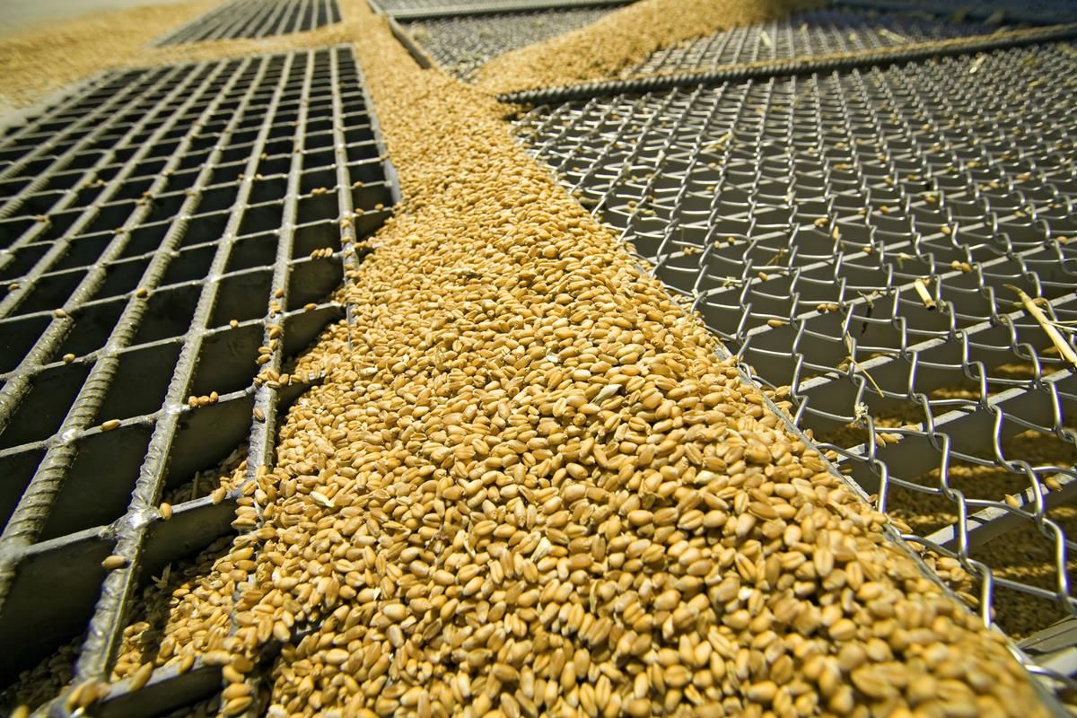 US production of maize, soya and wheat expected to rise