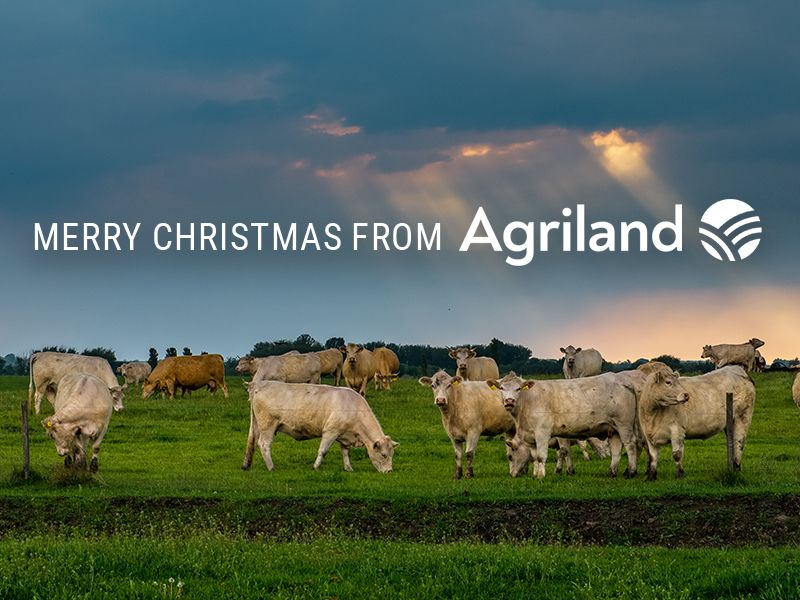 Happy Christmas from all at Agriland Media Group