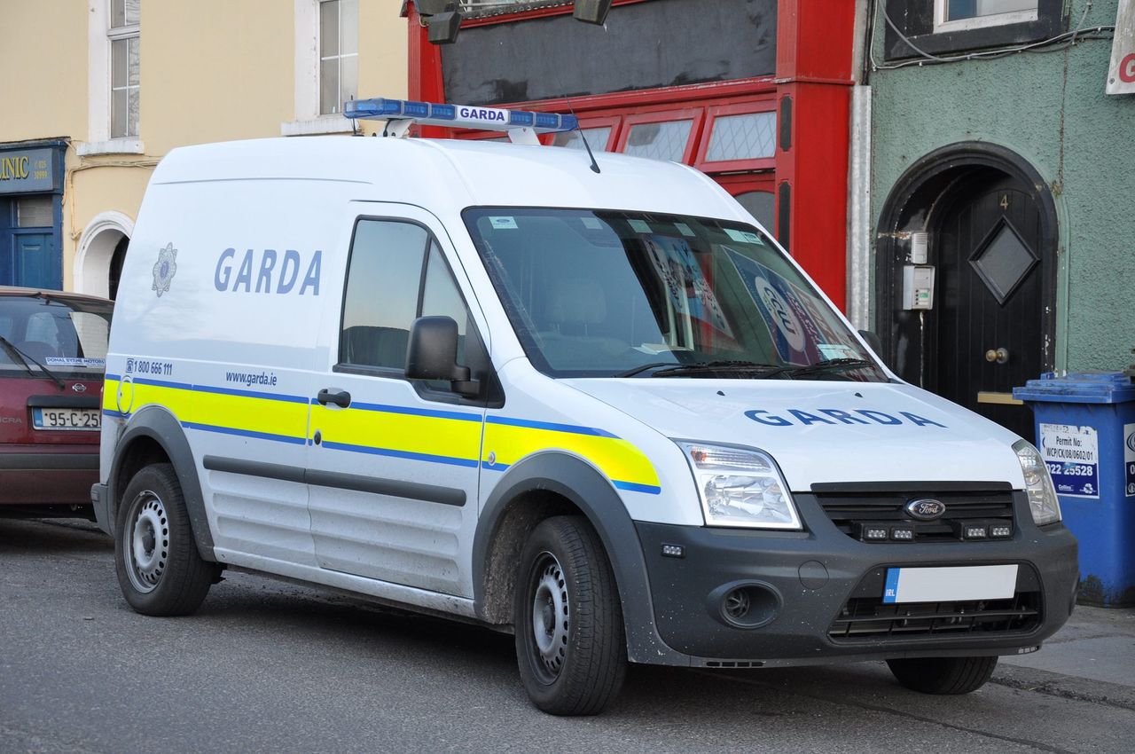 Investigation launched as car stolen while farmer checks cattle