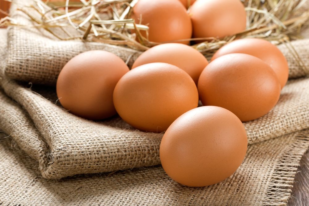 Eurostat: Slower increase in egg prices over the past year