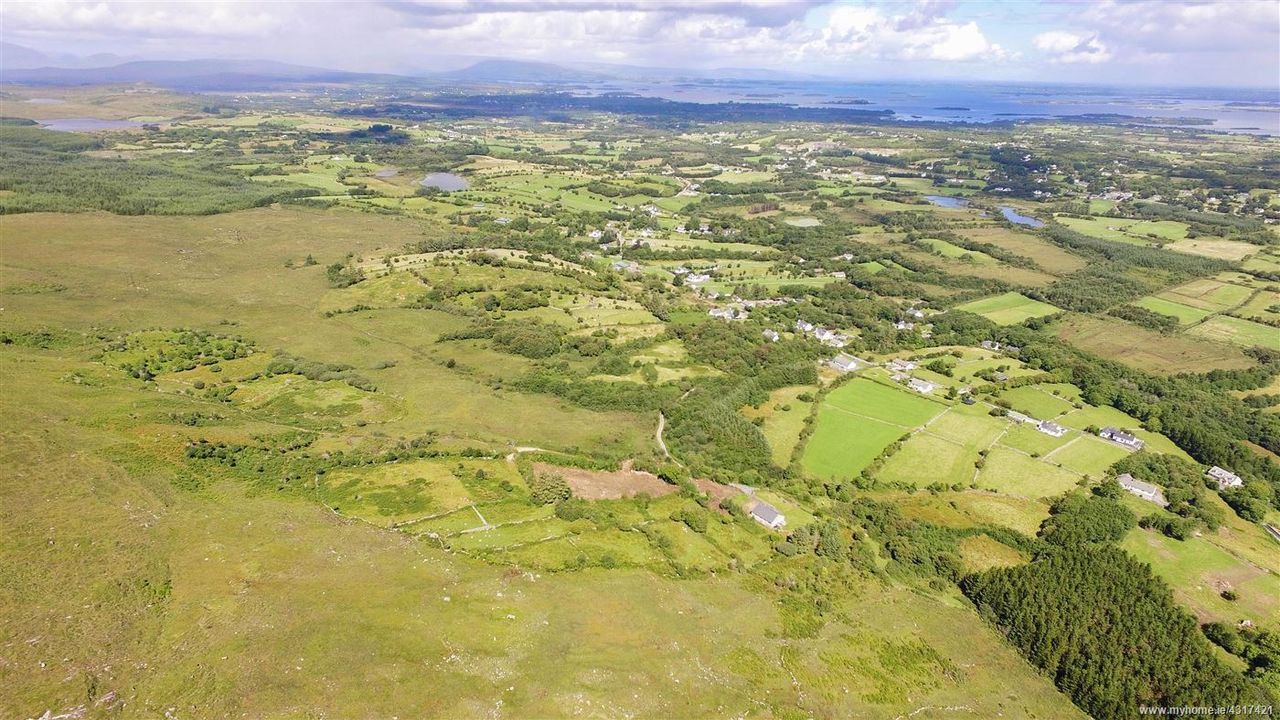 'A new focus on biodiversity and ecosystems is what is needed'