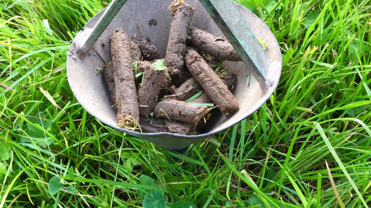 Tillage farmers urged to make all relevant soil testing a New Year priority