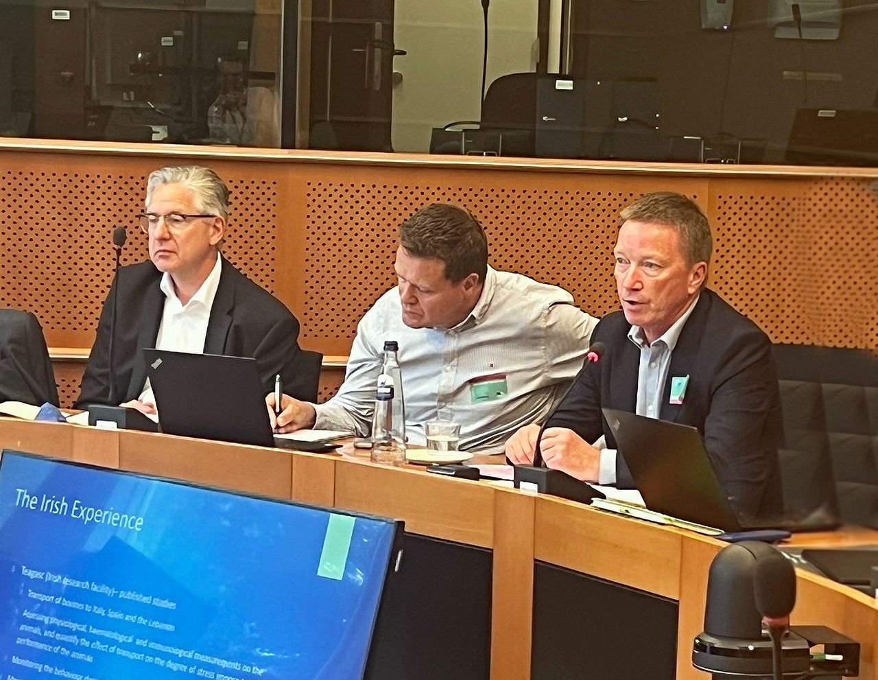 ICOS: Live animal transport 'vital' for Irish farmers