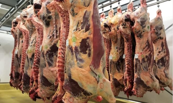 Aldi examining 30-month vs. 36-month slaughter age limit