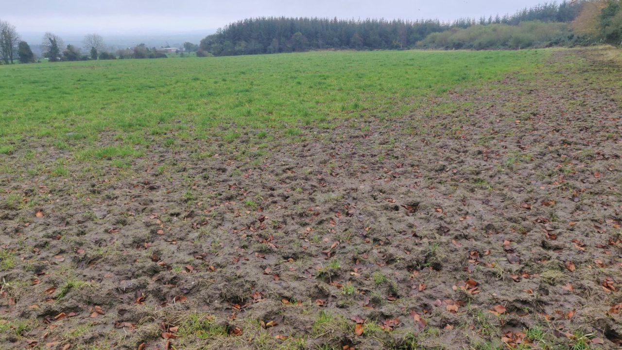 Spring grazing unworkable on many farms as rain persists