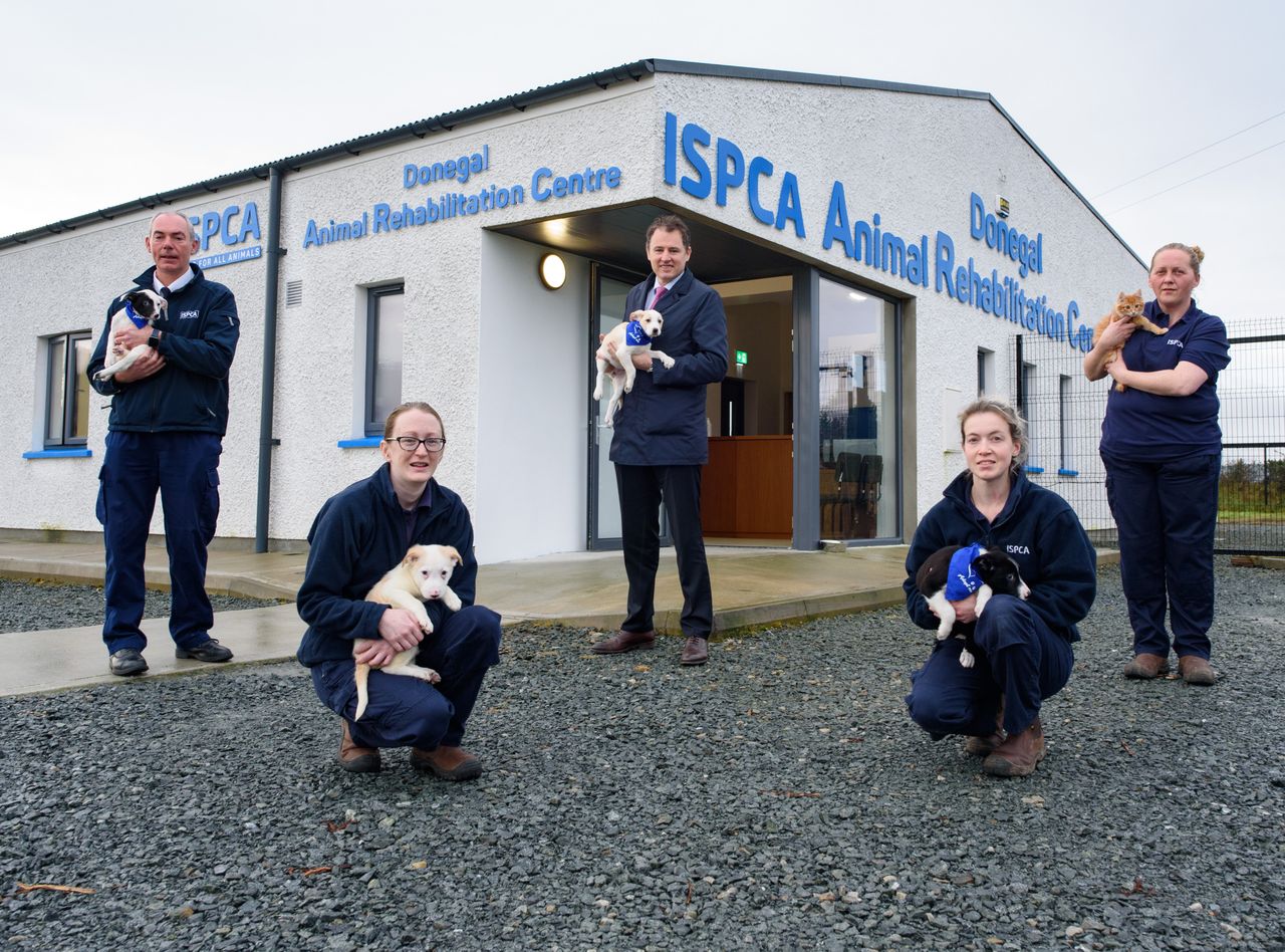 'Record funding' of over €3 million announced for animal welfare organisations