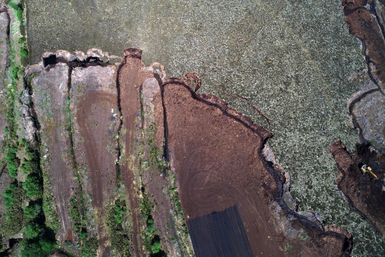 Project to explore how artificial intelligence can protect peatlands