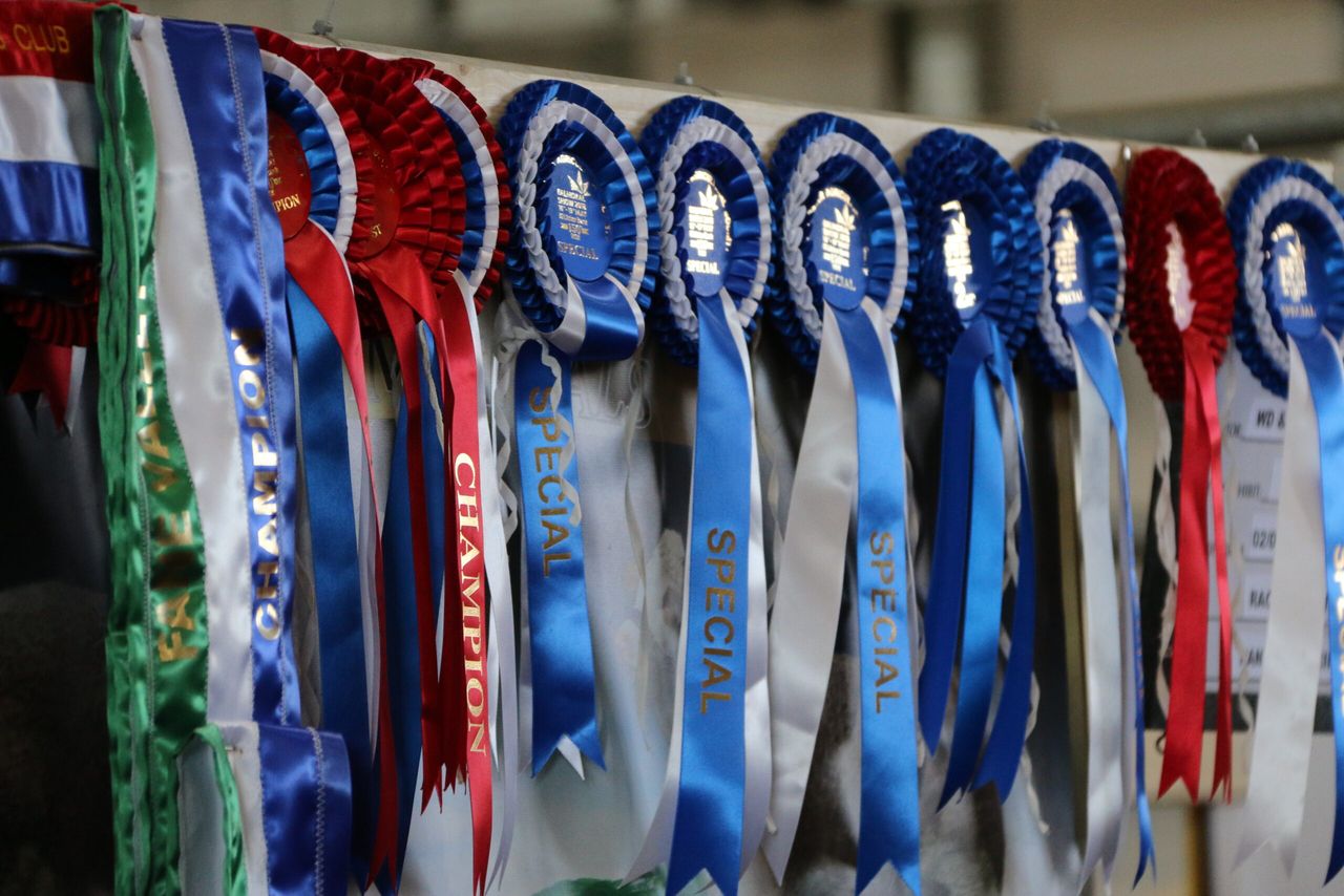 New 4 Breeds Calf Show launched for NI