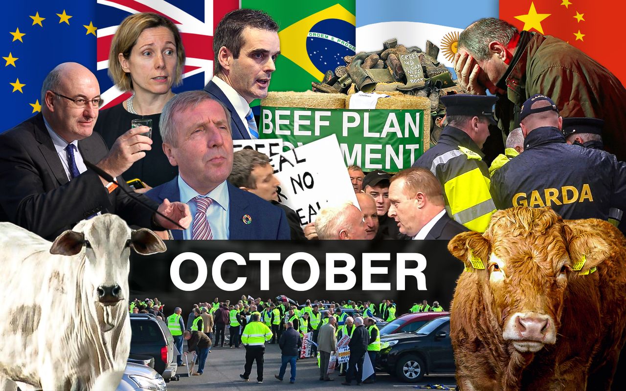 Beef Industry Review: October