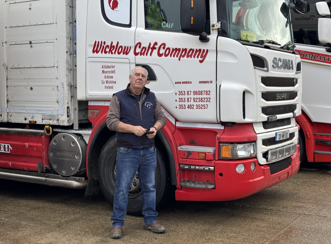 Scallan: Protocol for trading Irish calves to Poland remains 'unworkable'