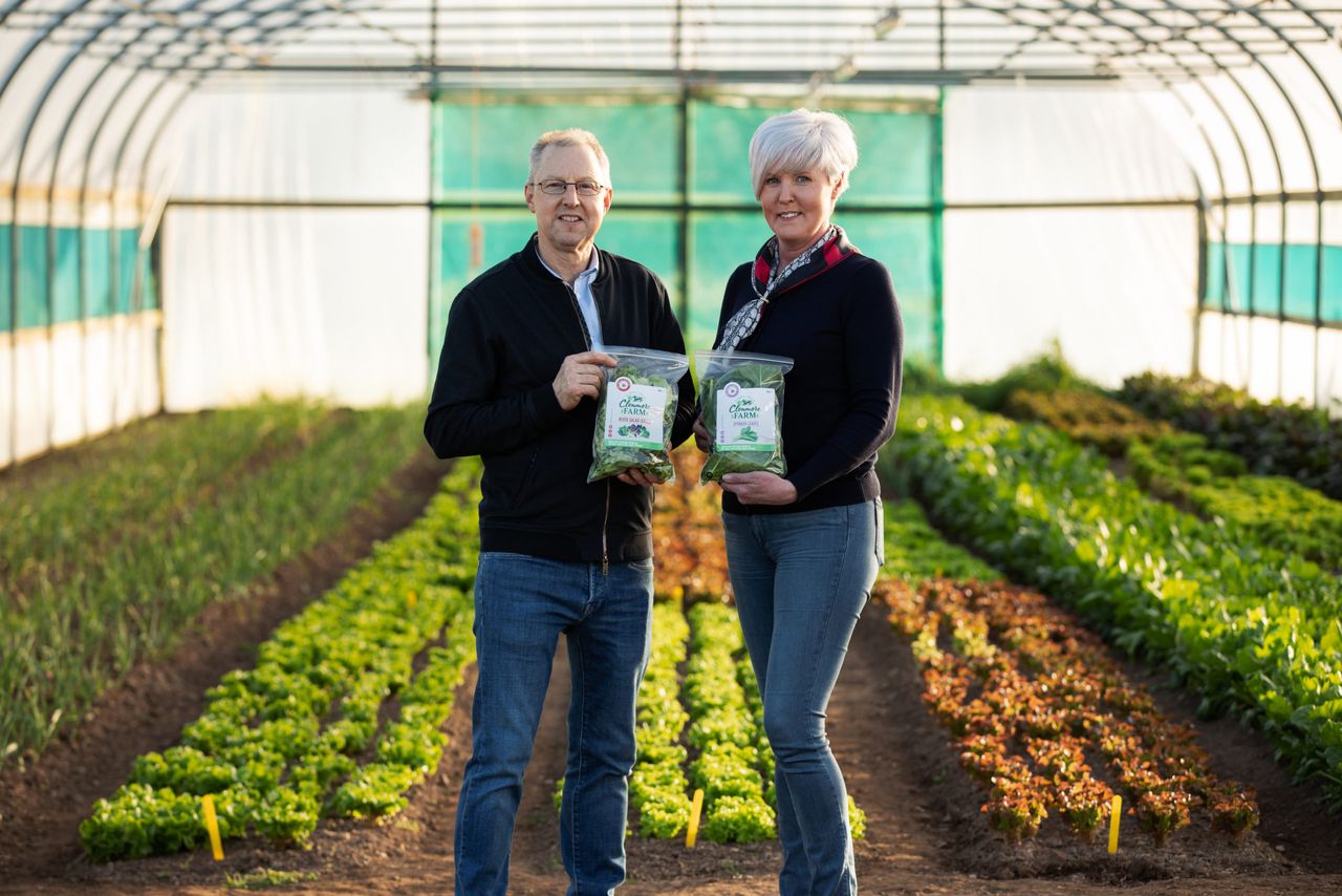 Family overcomes Brexit mushroom setback with new direction