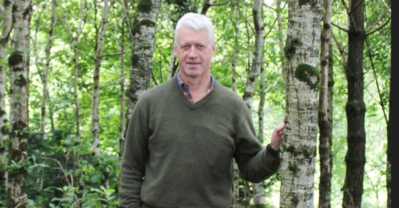 Concern over future of NI private forestry sector