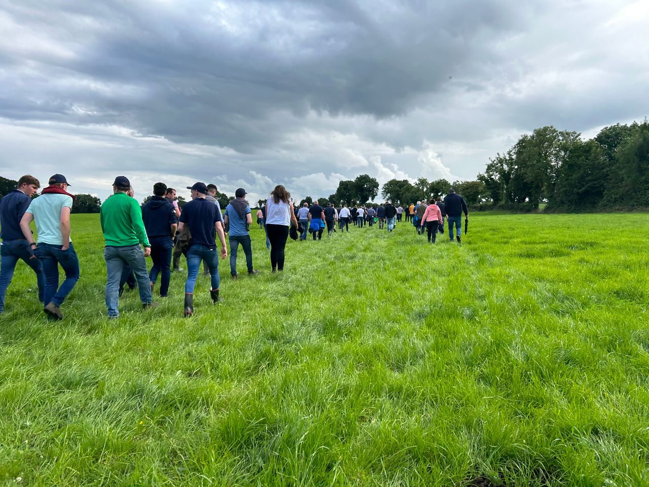 Highly efficient 370-cow dairy operation showcased at IGA walk