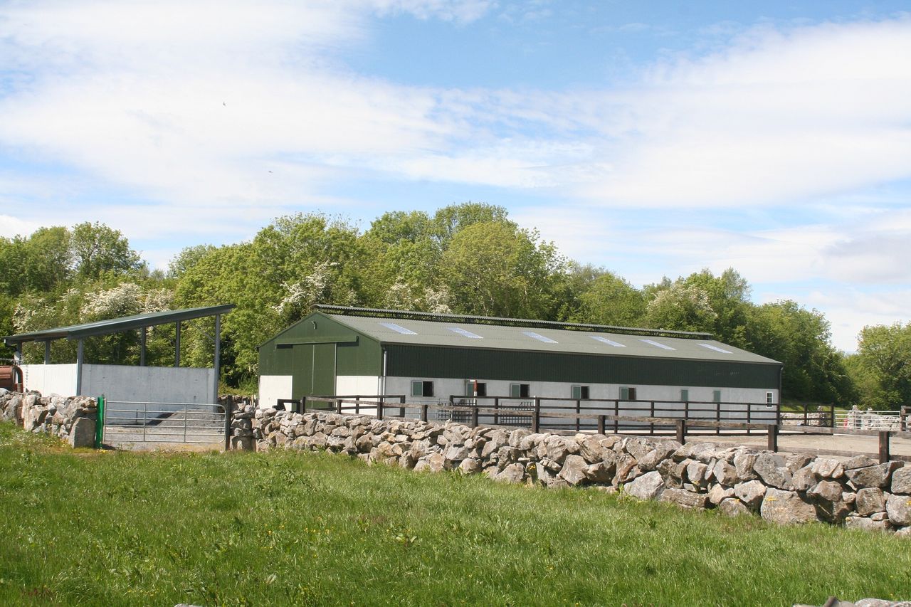 Equestrian property with 'purpose-built facility' up for grabs in Co. Galway