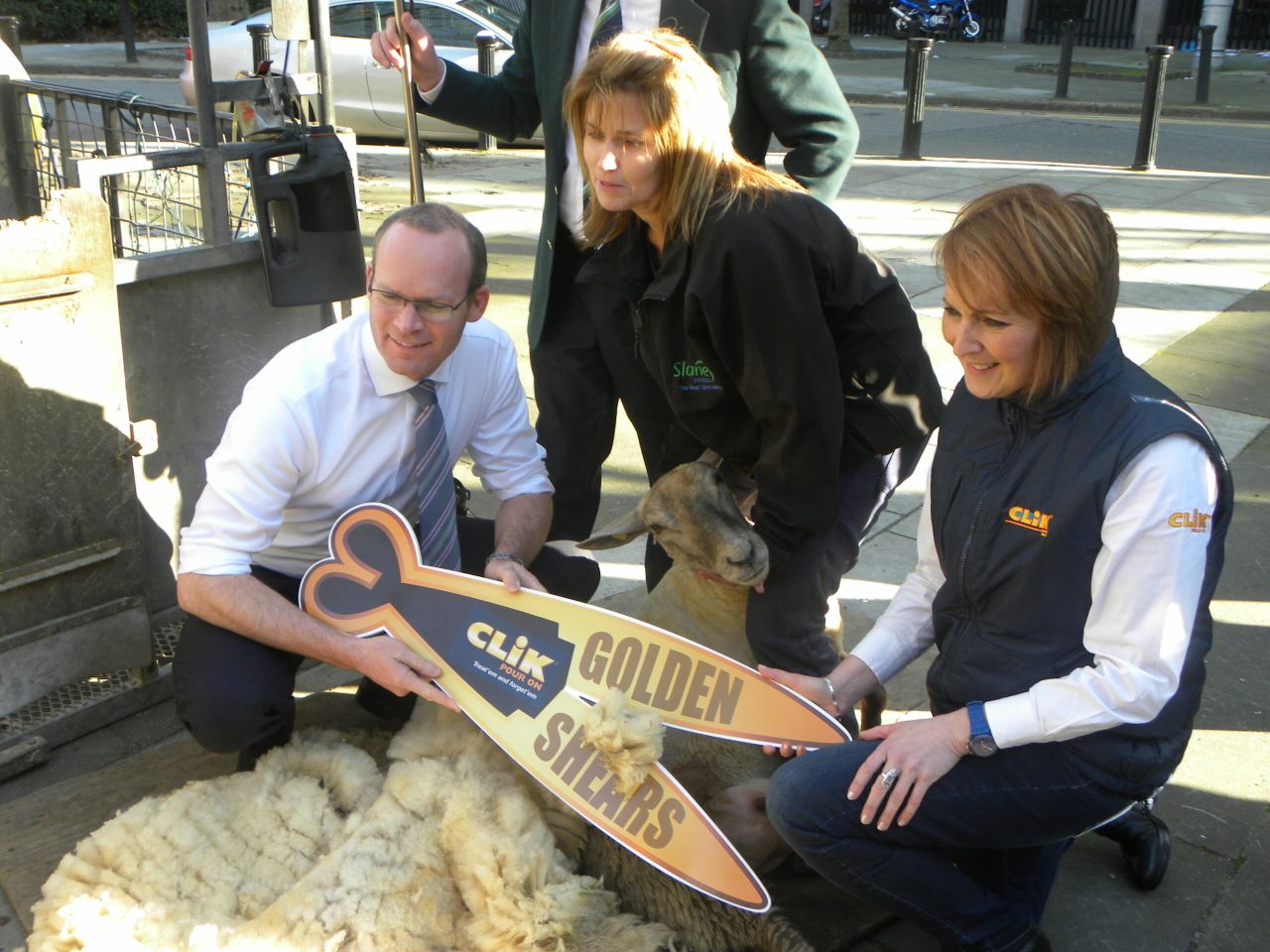 Traditional skills of hand shearing will be highlight of world championships in Gorey