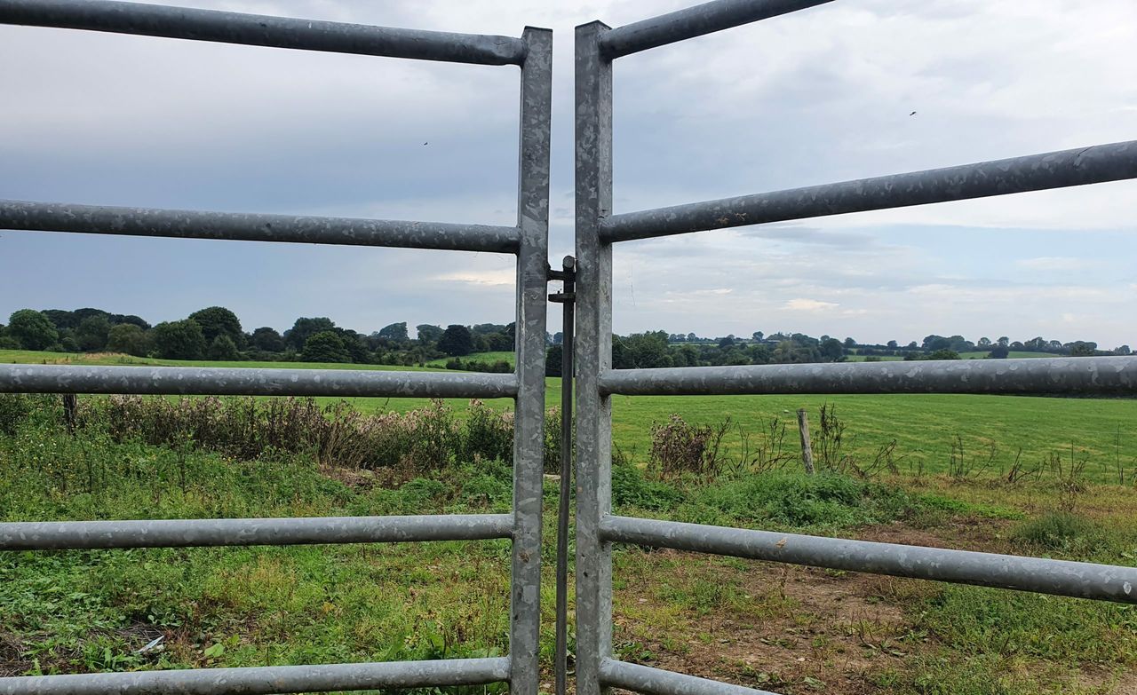 'More could be done to help landless young farmers in leasing'