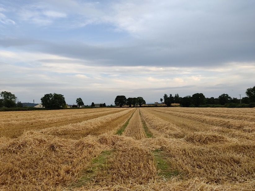16ac of 'top class lands' for sale in Cashel, Co. Tipperary