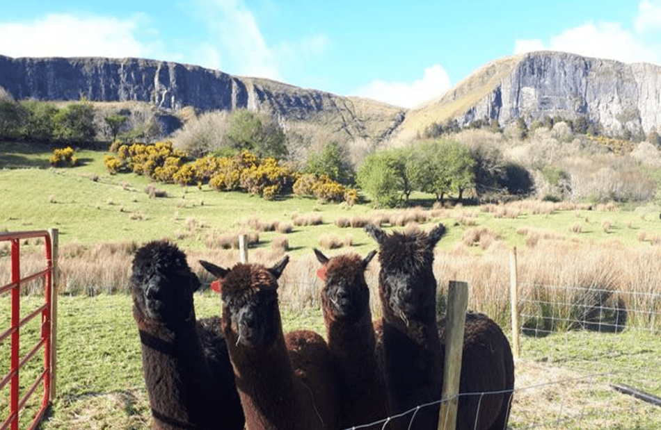 Leitrim to host first national trail conference