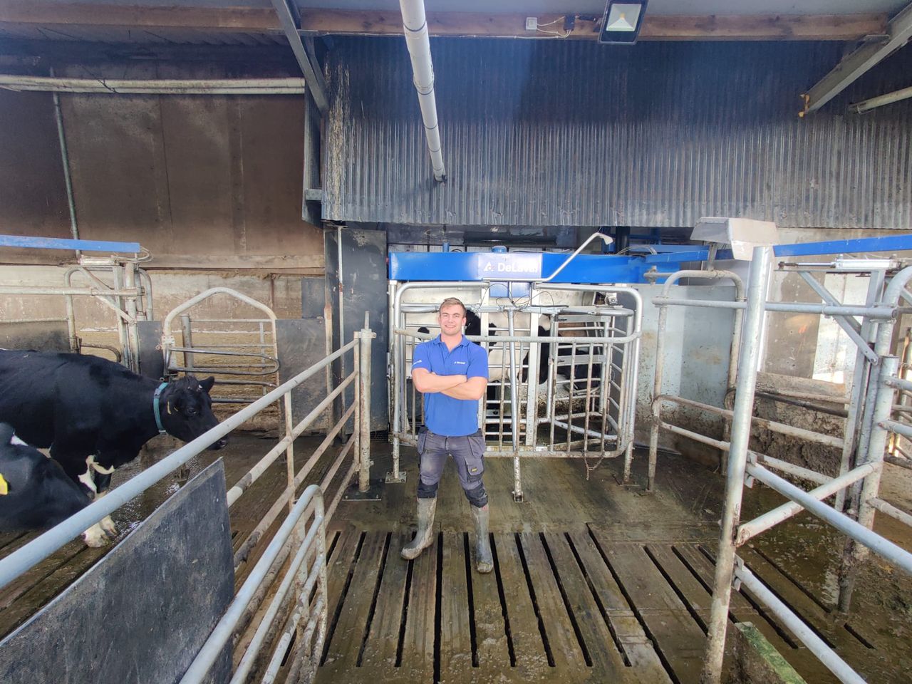 Dairy Focus: Milk quality to the fore in robotic milking herd