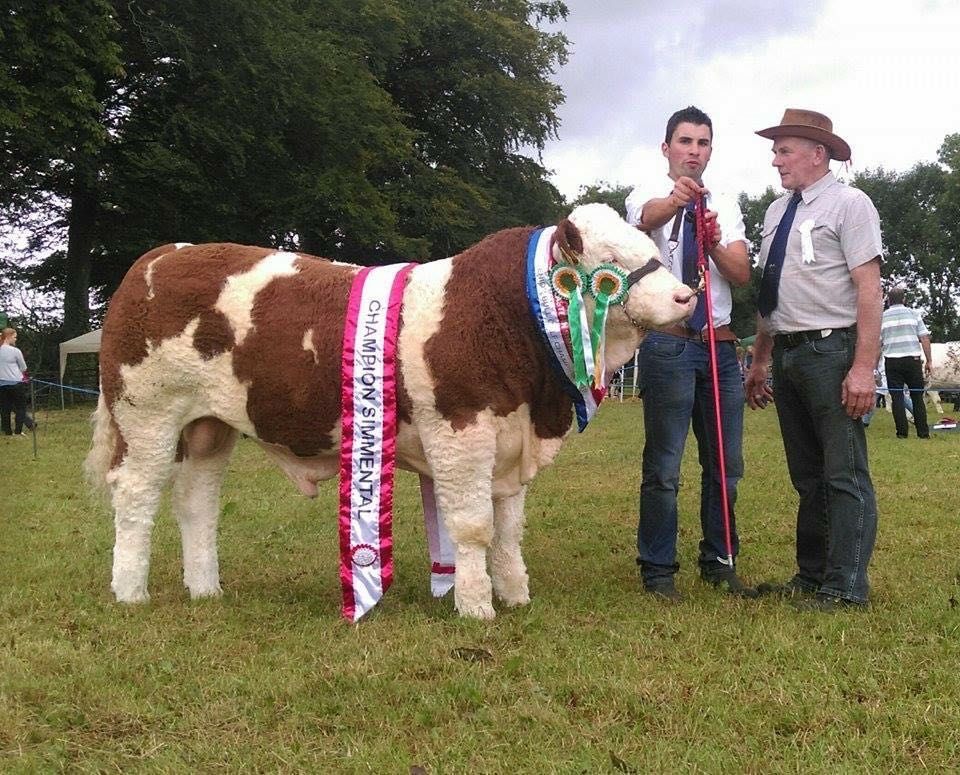 70th annual Tullow Show to take place this weekend