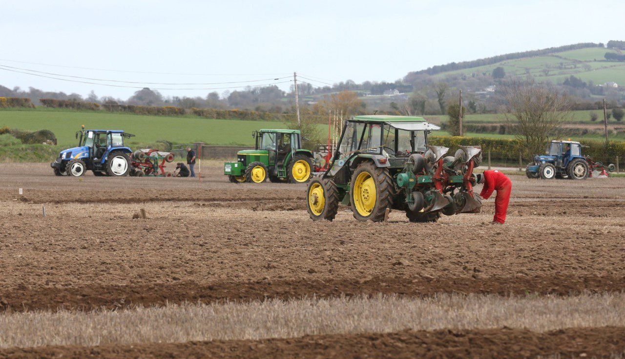 Ireland secures victories on home soil at European Ploughing