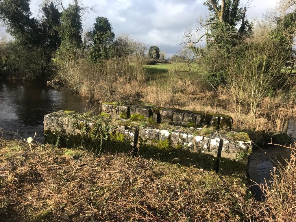 GLAS funding for restoration of 'historic' stone wall in Leitrim