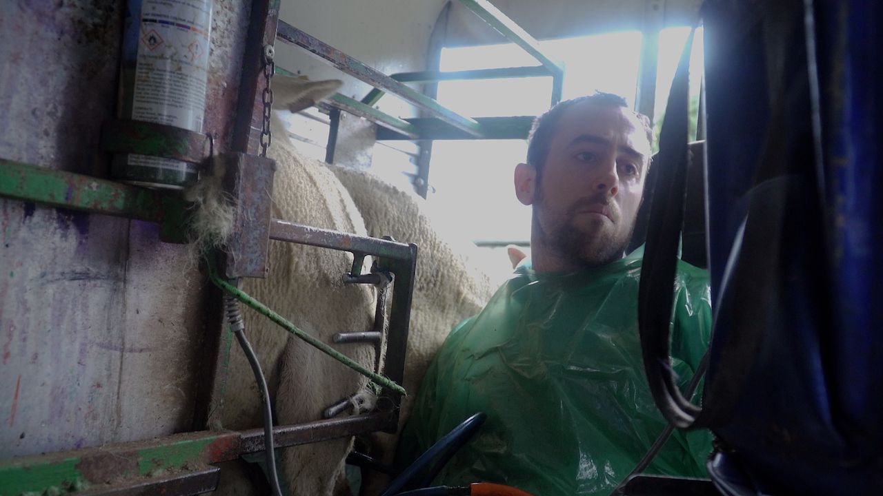 'More farmers are lambing early this year than in previous years' - Kieran McGee