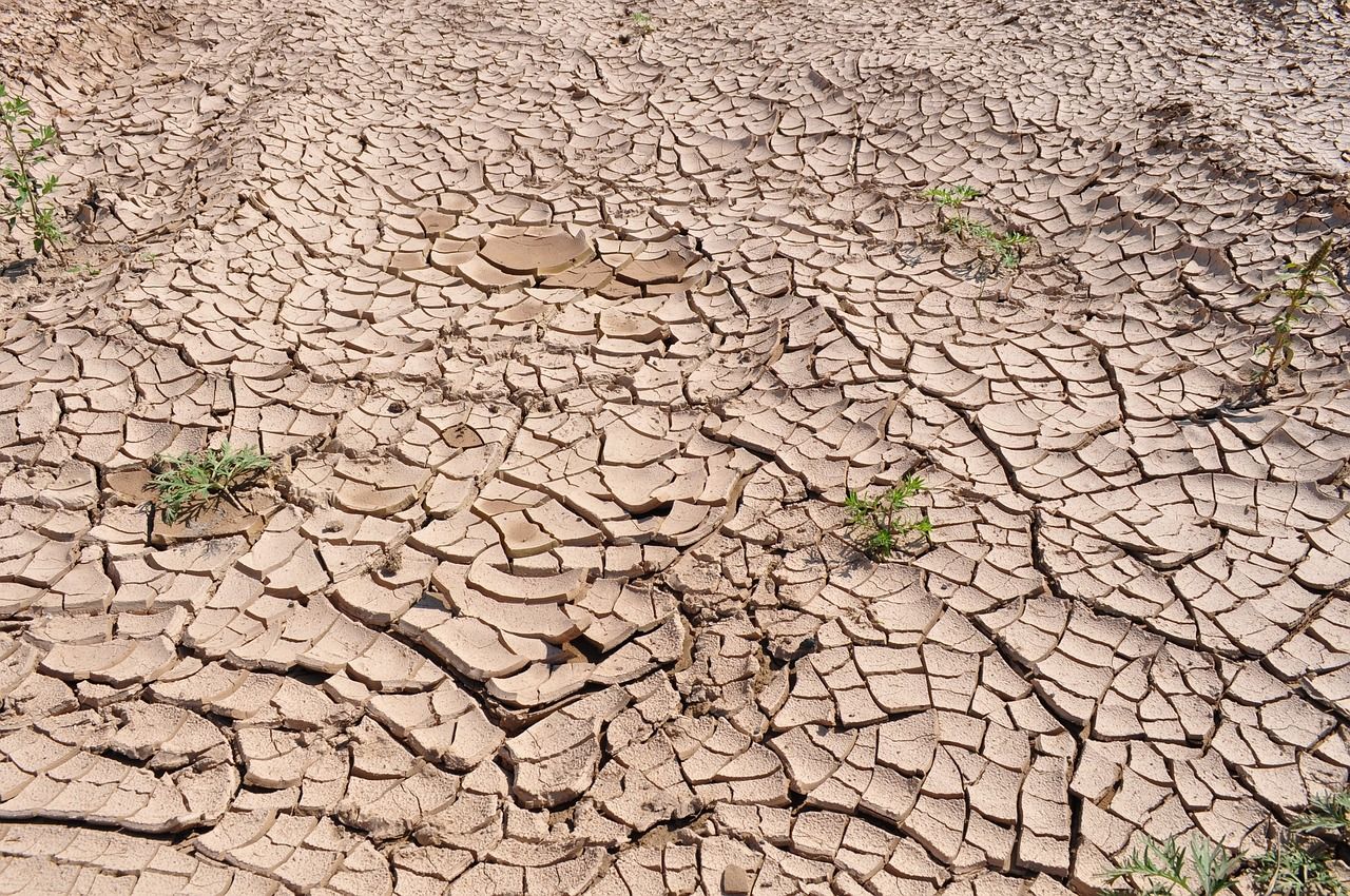 Risk of flash droughts expected to rise globally - study