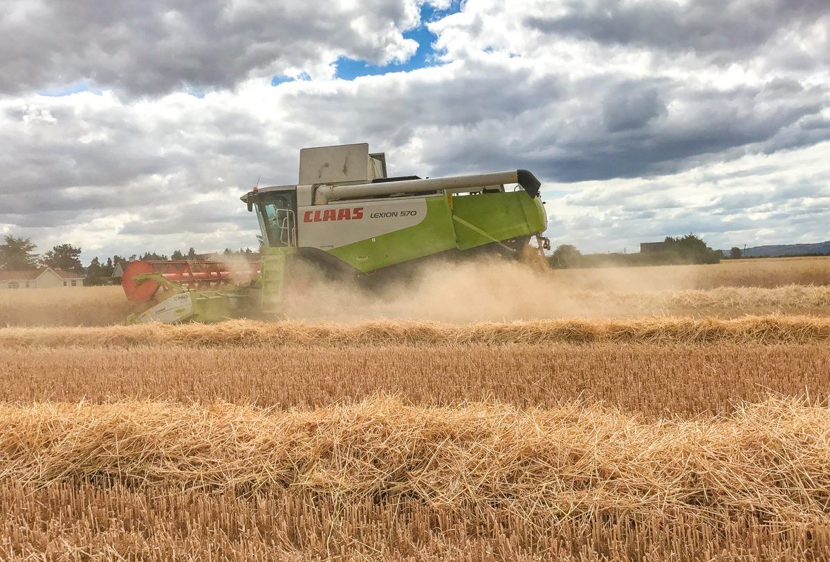 Glanbia announces 2020 grain prices