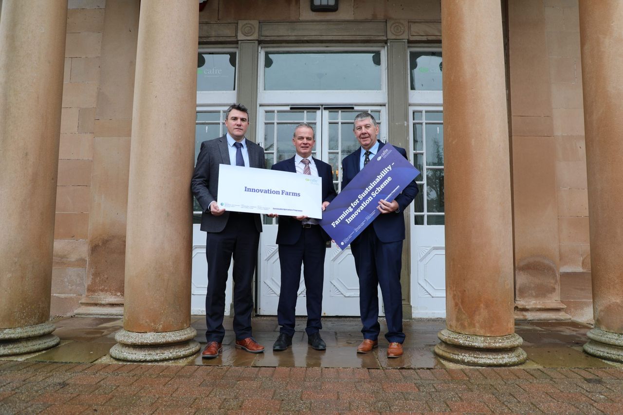 NI beef and dairy farmers sought for CAFRE 'Innovation Farms project