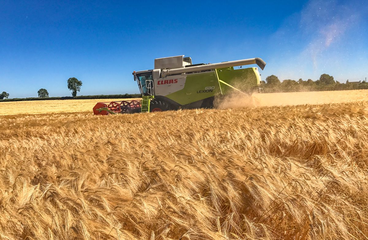 'Next harvest could be a different story than this year on prices'