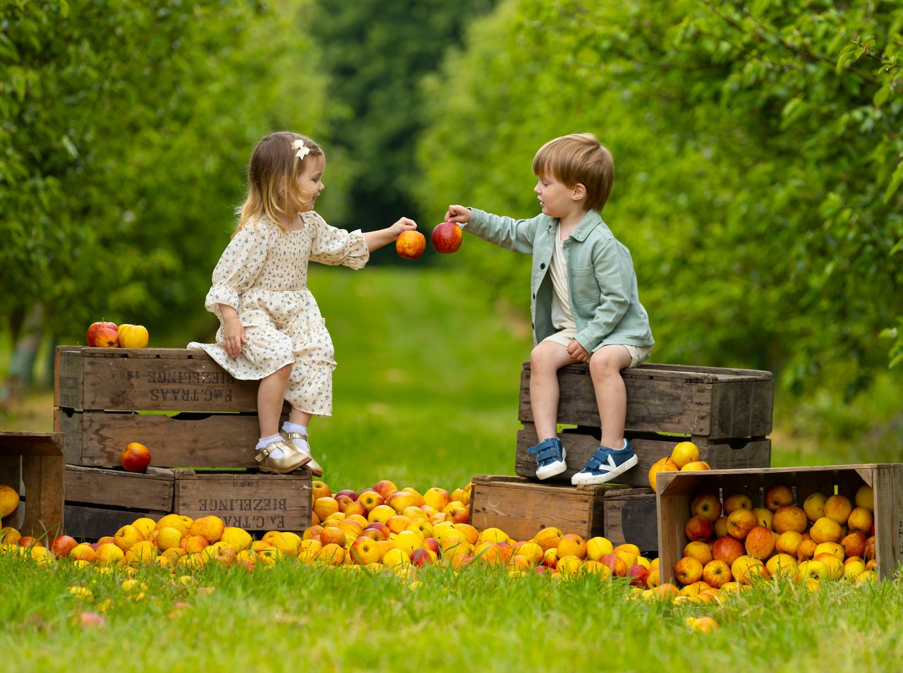 14th Waterford Harvest Festival urges 'support local'