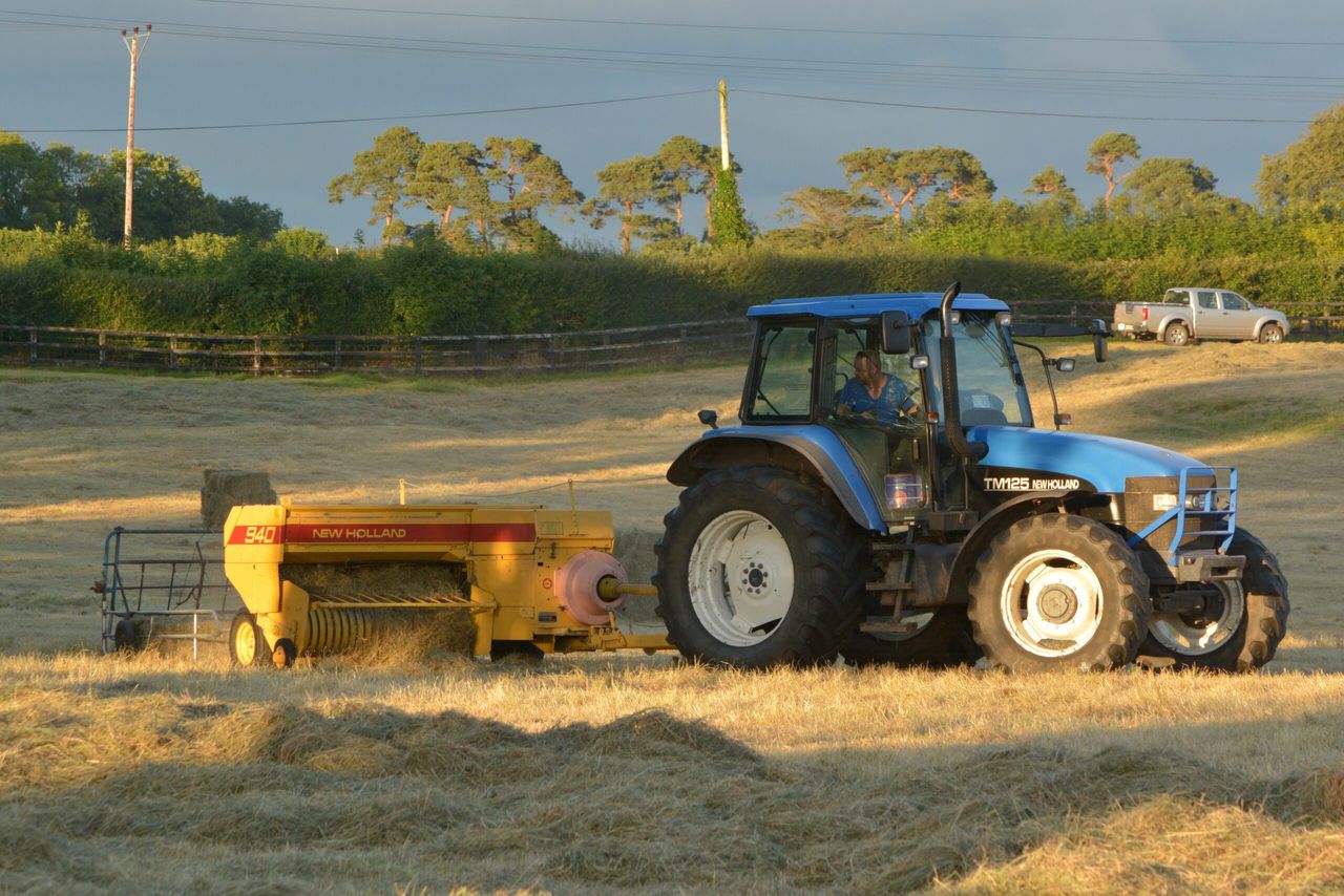 Hay field 'self-ignites' in rare freak accident