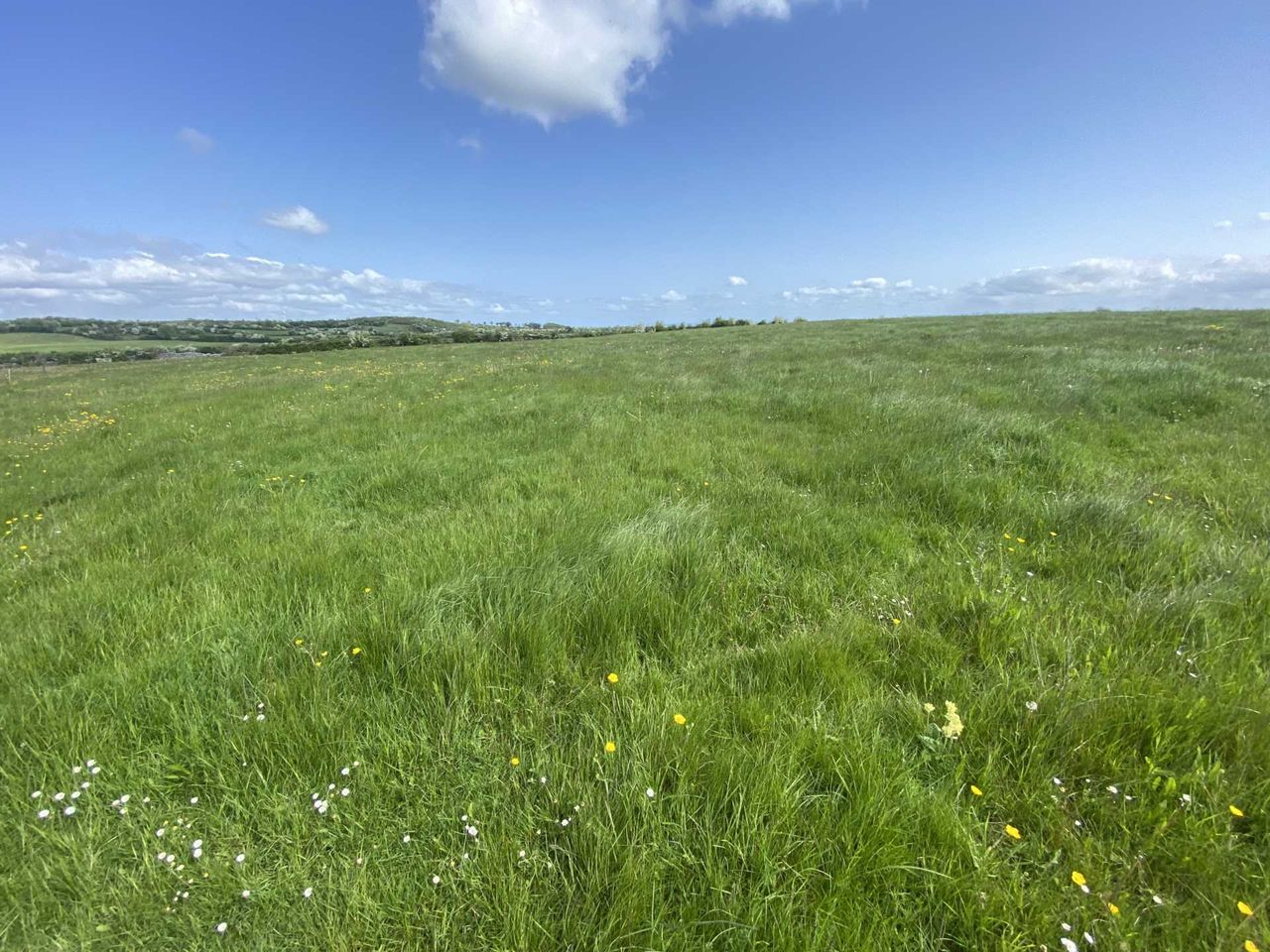 74ac of Limerick land guiding over €1 million