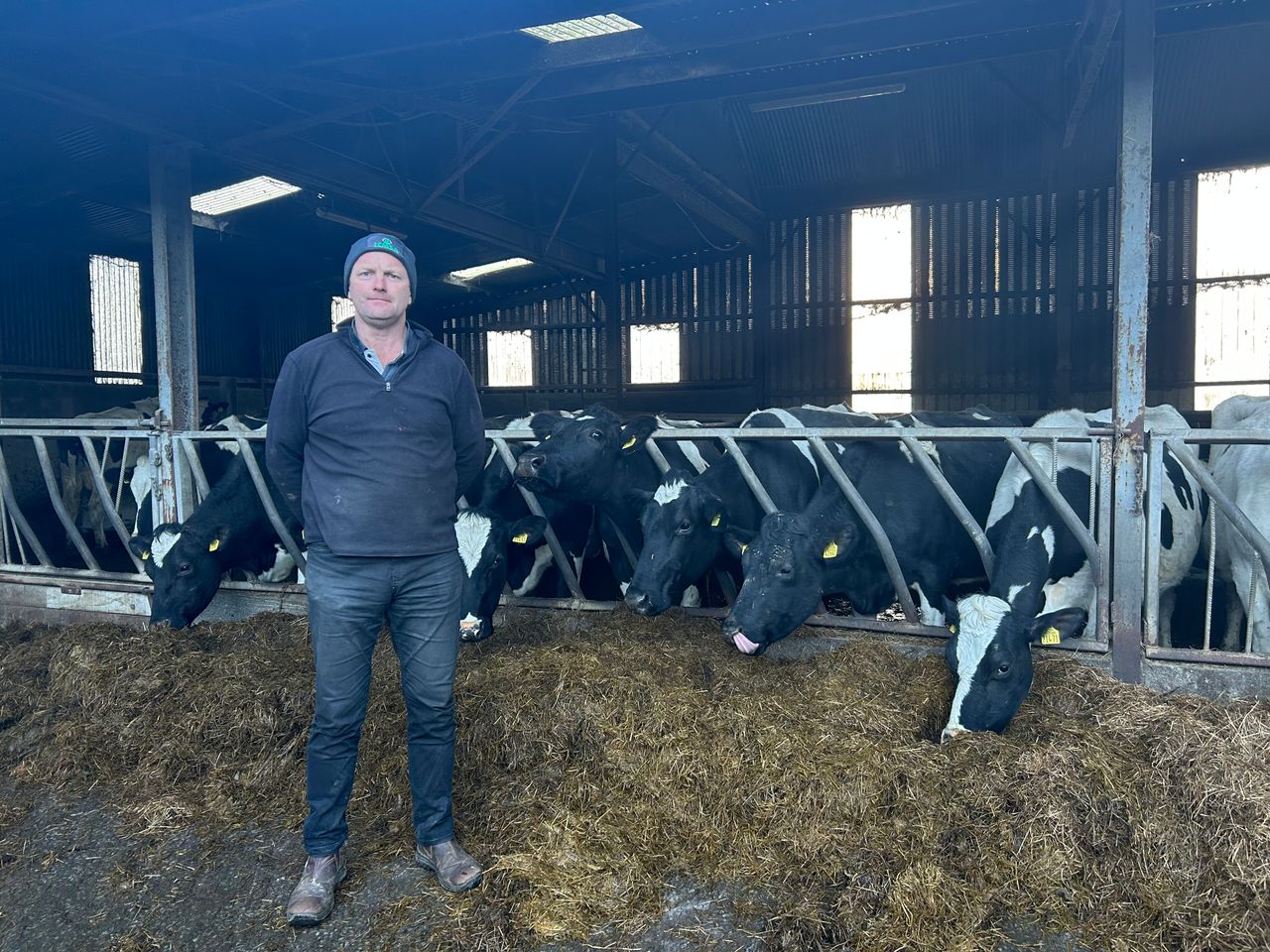 Watch: ICMSA president - N value of some calves may change