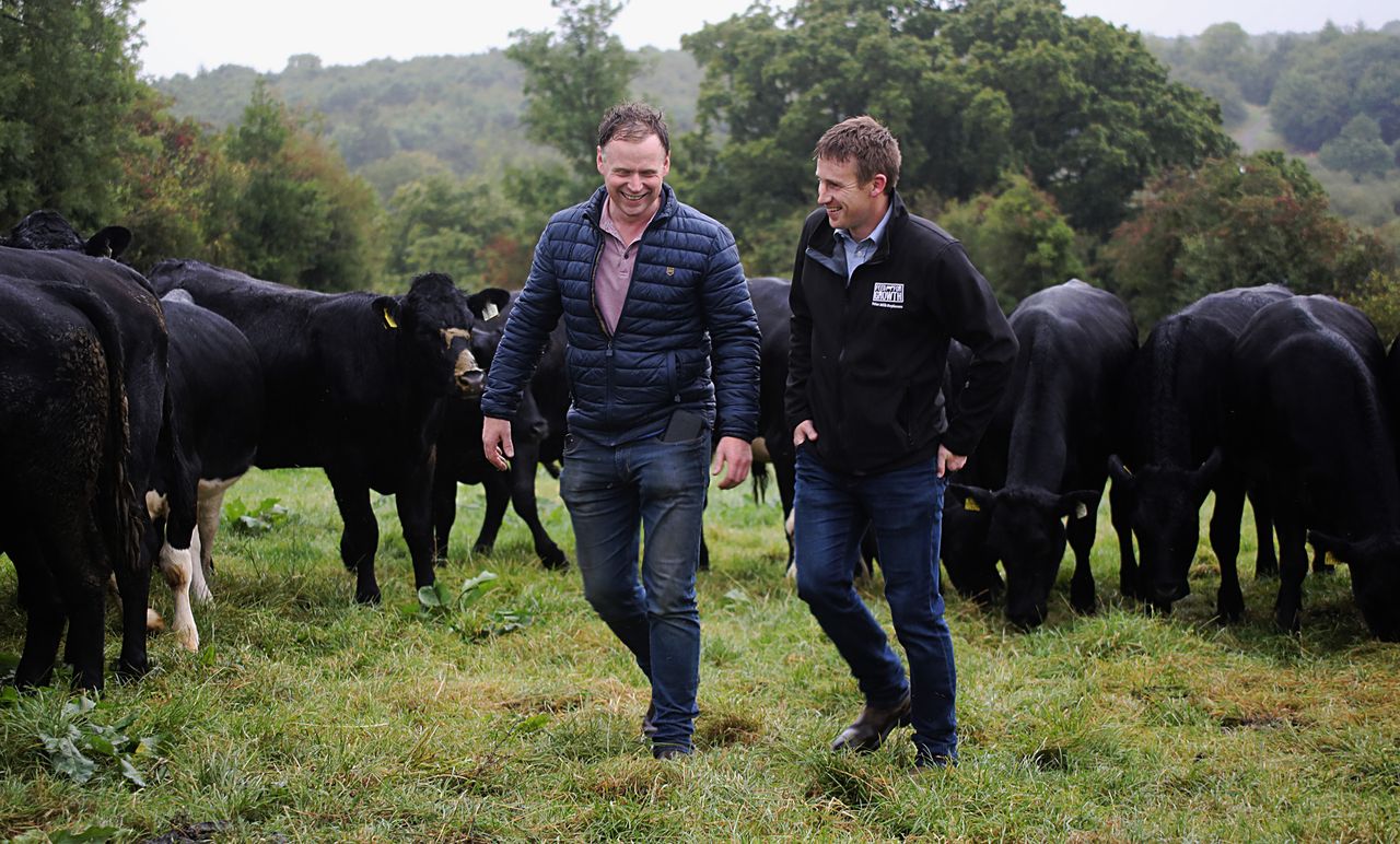 Milk replacer’s quality producing thriving calves for Cavan farmer
