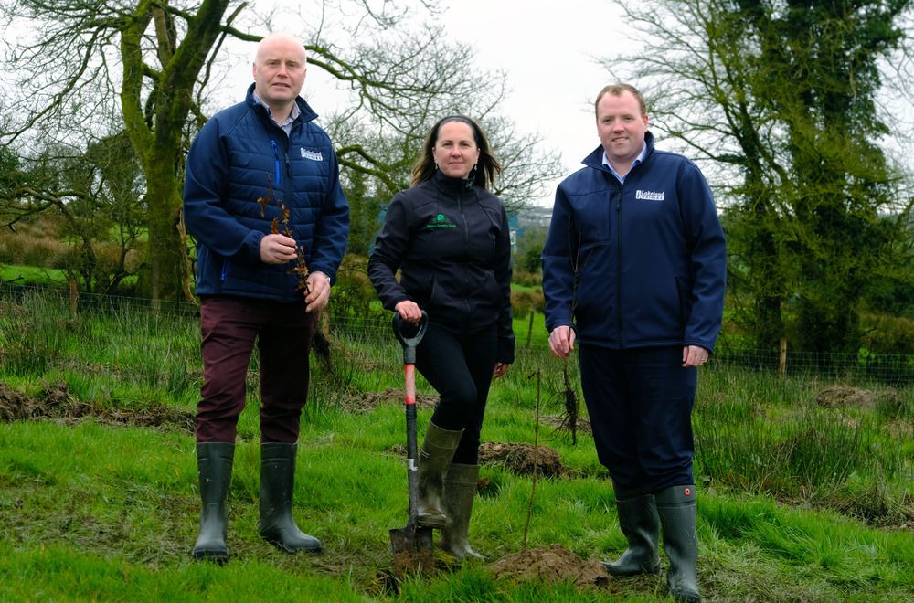 Lakeland Dairies to plant 5,000 native trees