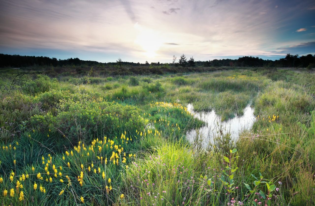 'Farmers need guarantees' in light of fund for nature restoration